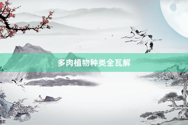 多肉植物种类全瓦解