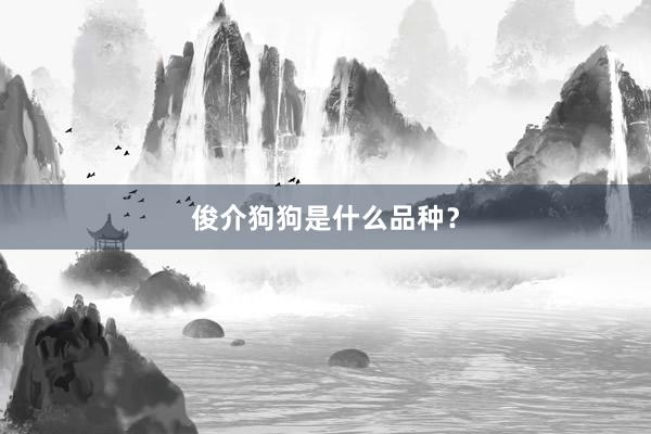 俊介狗狗是什么品种？