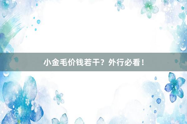 小金毛价钱若干?外行必看!