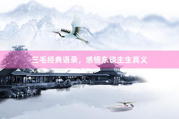 三毛经典语录，感悟东谈主生真义